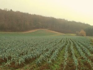 Passage Contournement Nord a Basse-Wavre - ok